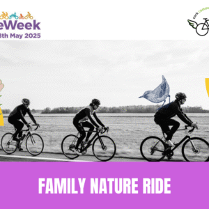 11th May - Bike Ride - Family Nature ride - Marina Market