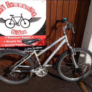 Budget bike: Raleigh Voyager